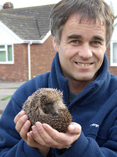 Dougal Urquhart with hedgehog