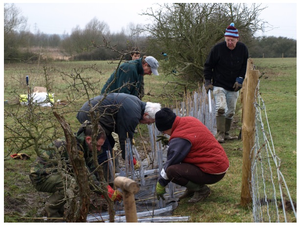 abberton volunteers